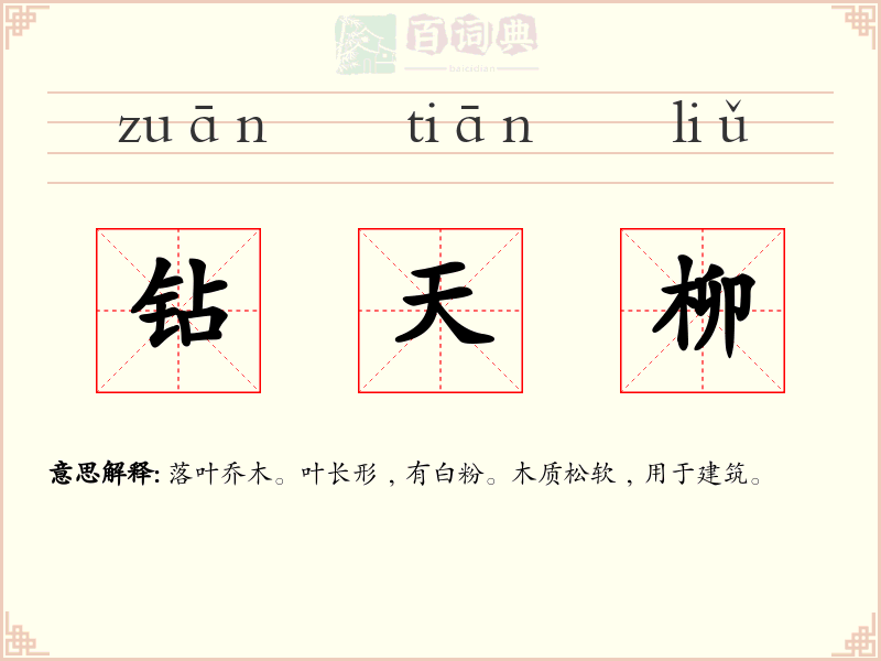钻天柳
