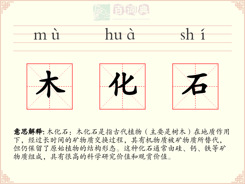 木化石