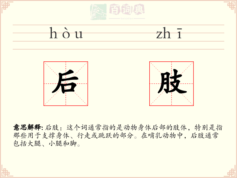 后肢