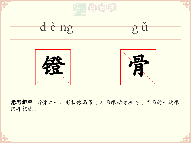 镫骨