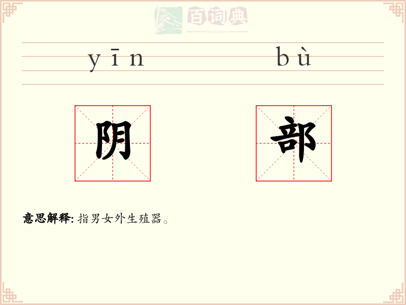 阴部