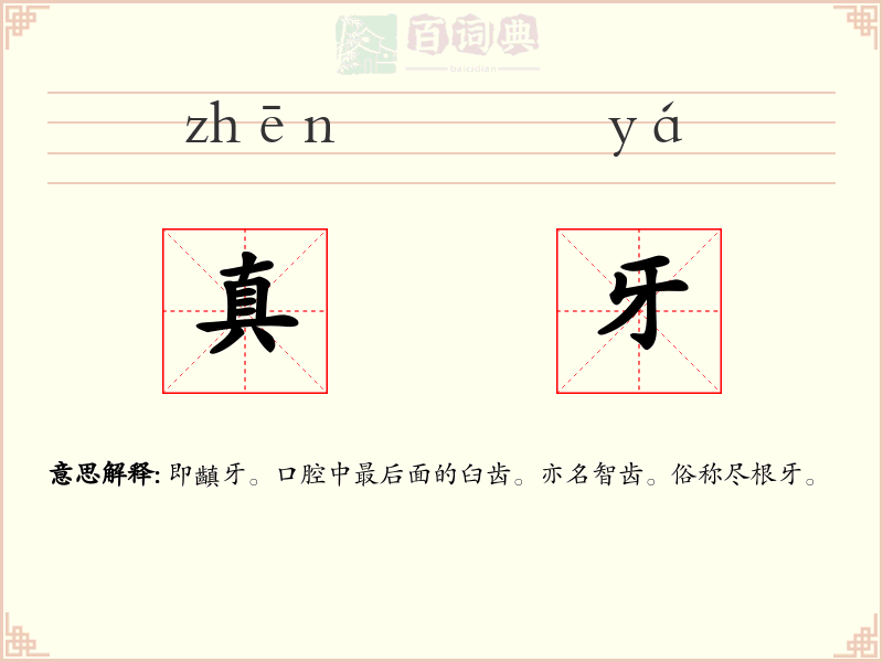 真牙