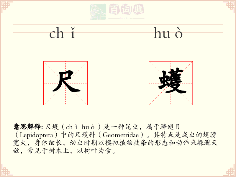 尺蠖
