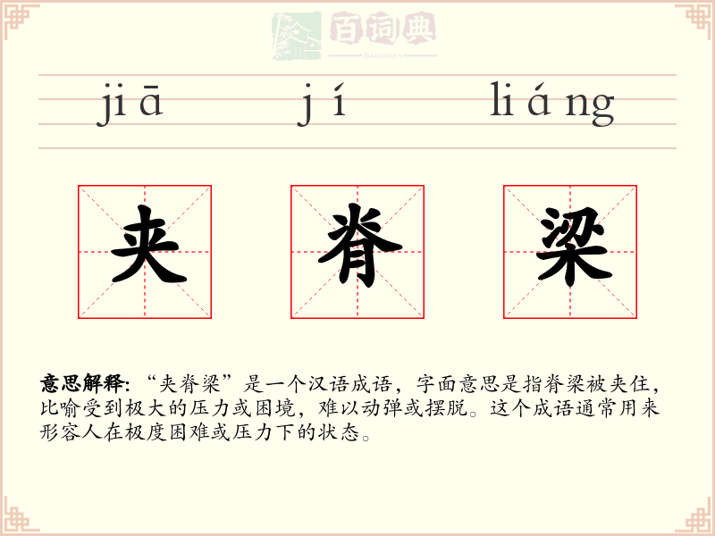 夹脊梁