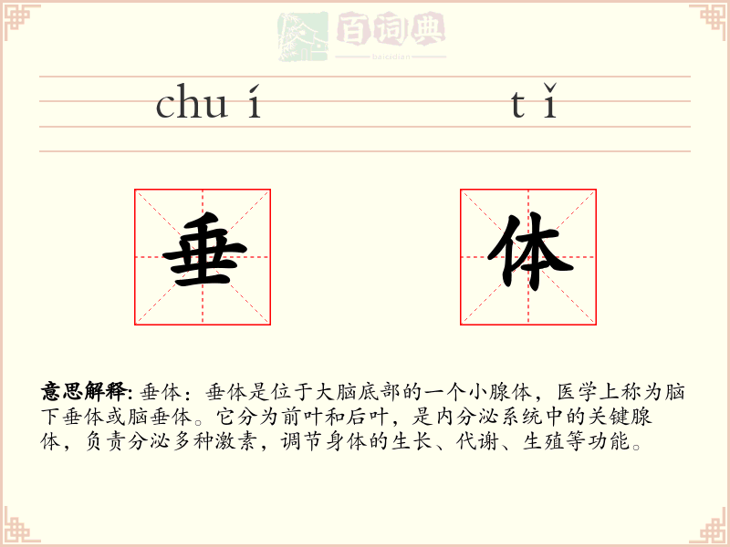 垂体
