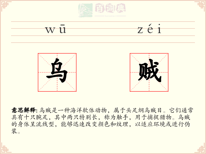 乌贼
