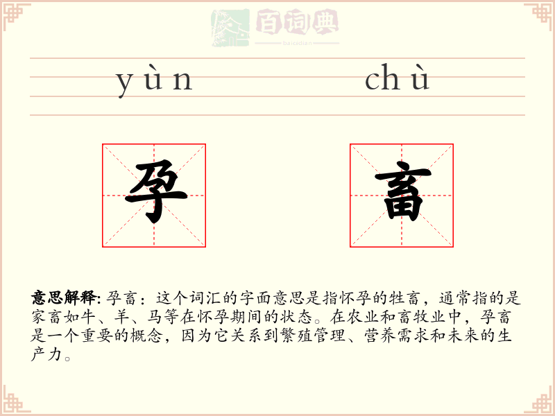 孕畜