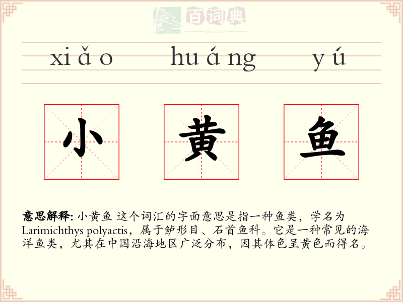小黄鱼