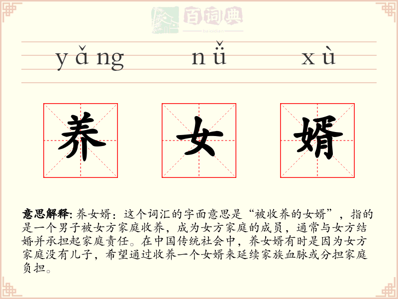 养女婿