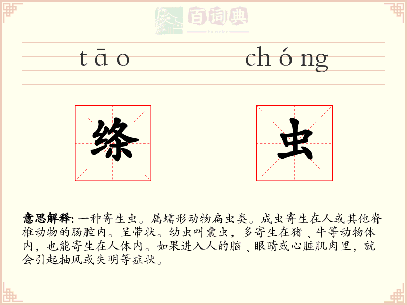 绦虫