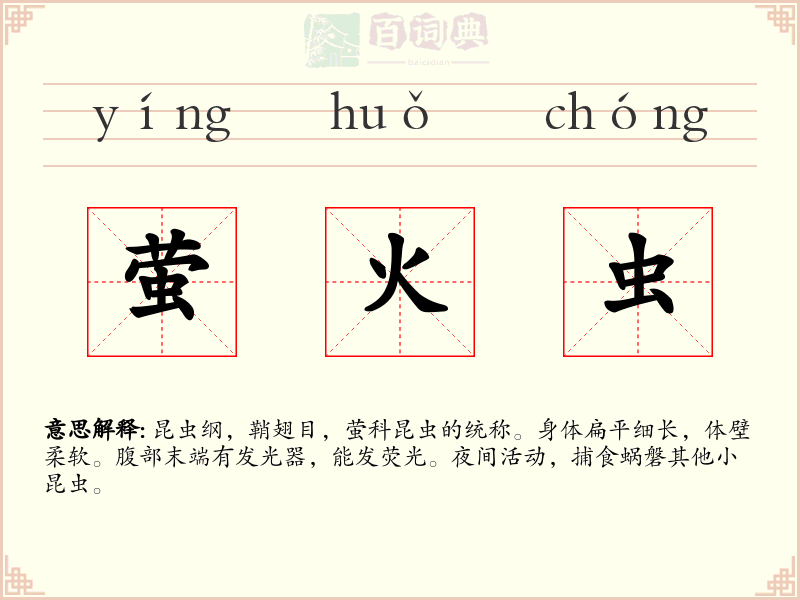 萤火虫