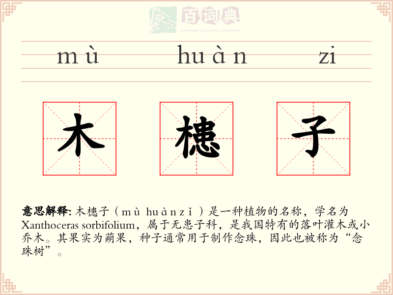 木槵子