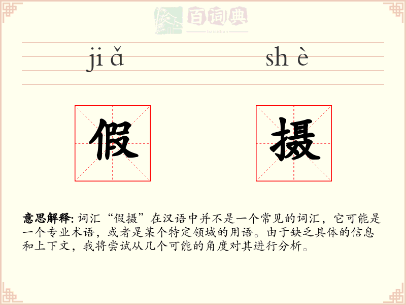 假摄