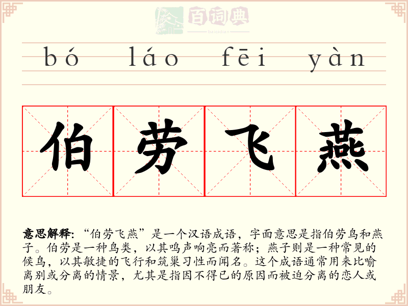 伯劳飞燕