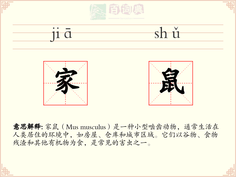 家鼠