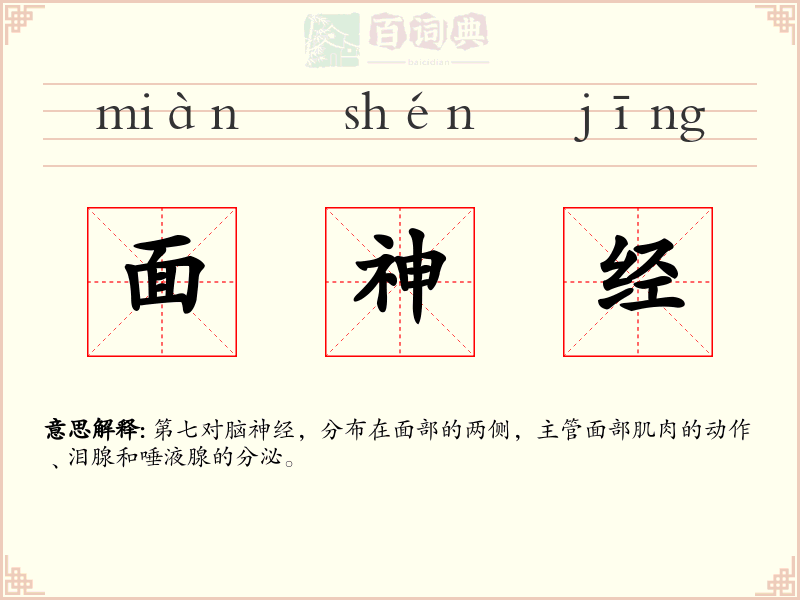 面神经