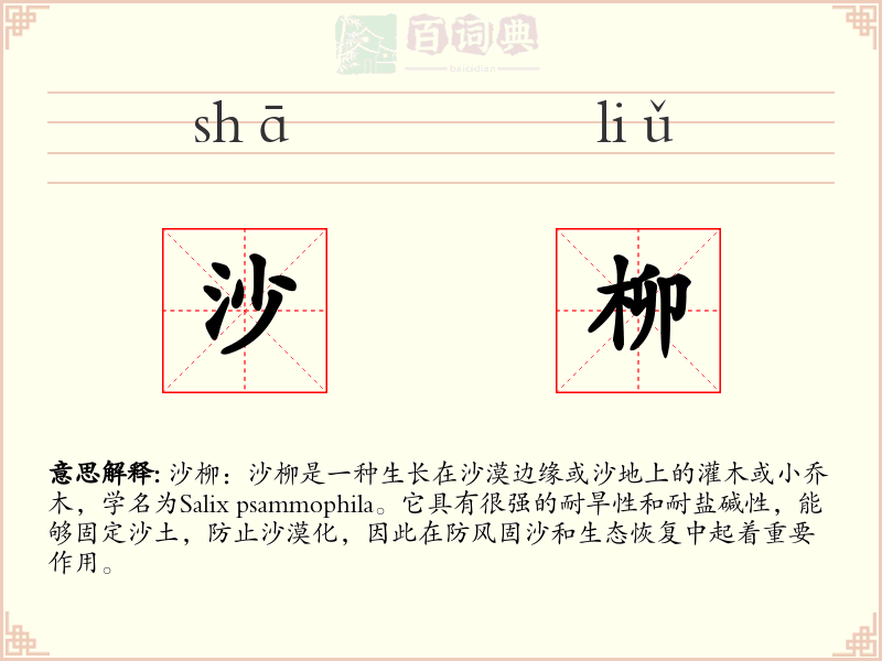 沙柳