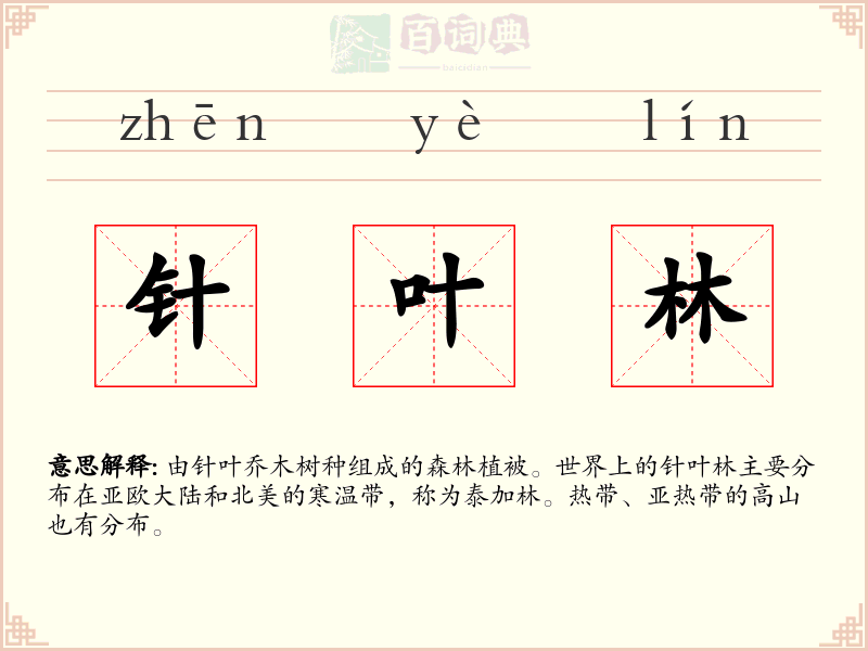 针叶林