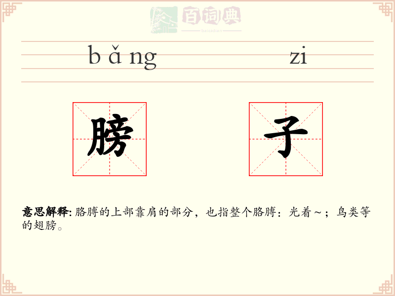 膀子