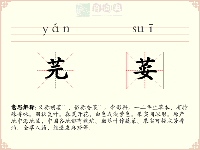 芫荽