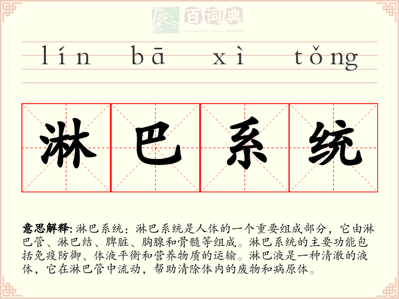 淋巴系统