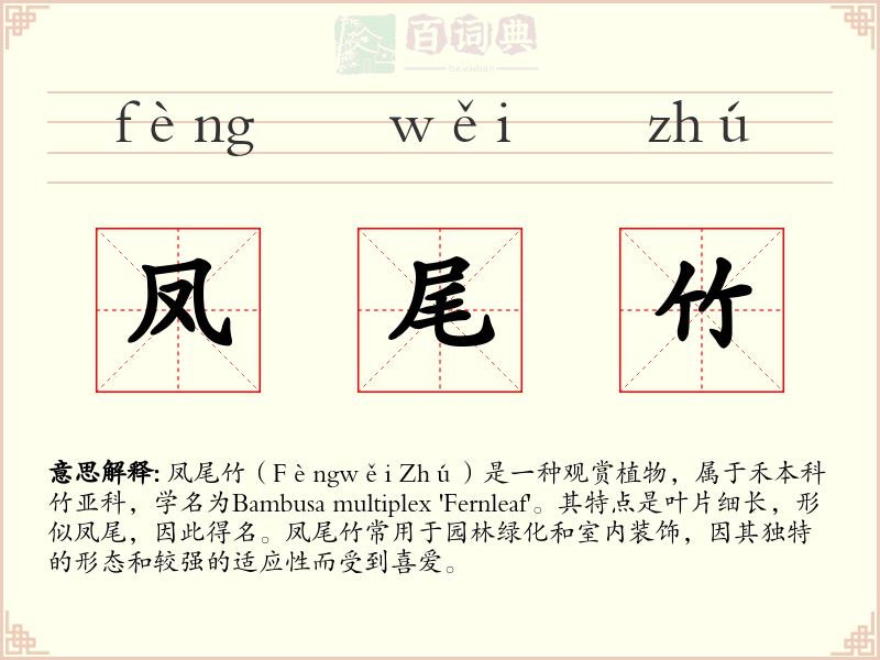 凤尾竹