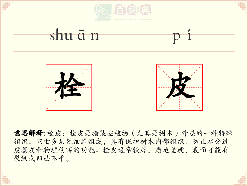 栓皮