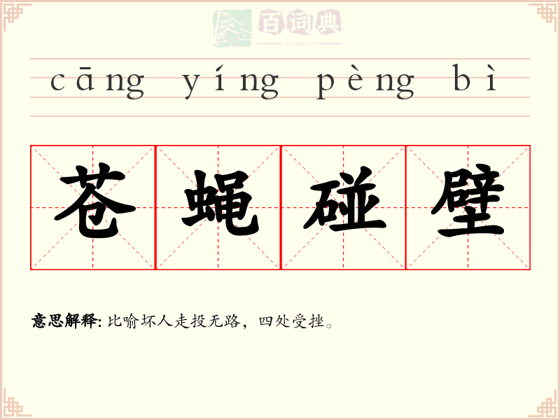 苍蝇碰壁