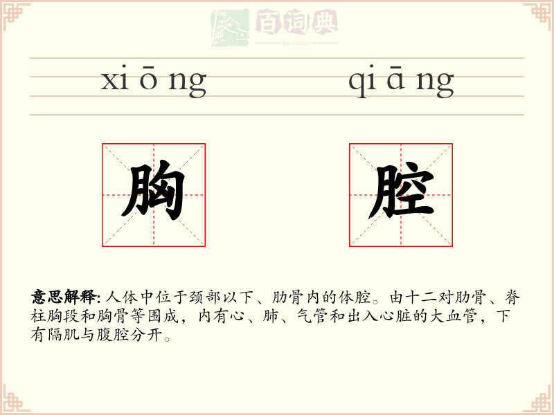 胸腔