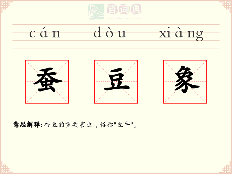 蚕豆象