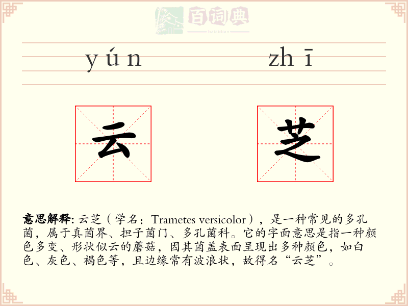 云芝
