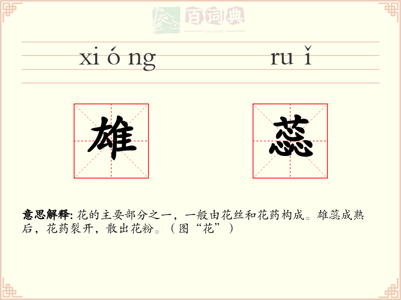 雄蕊