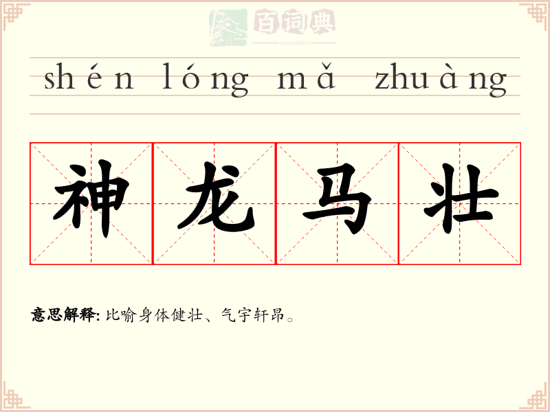 神龙马壮