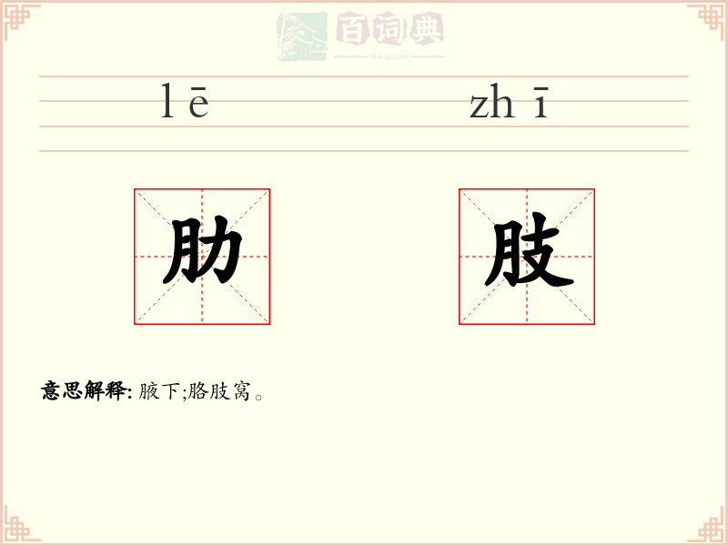 肋肢