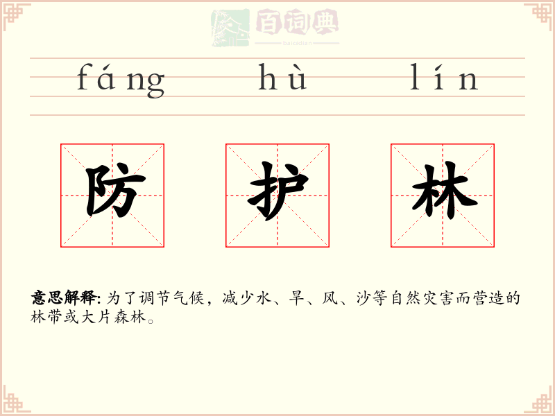 防护林