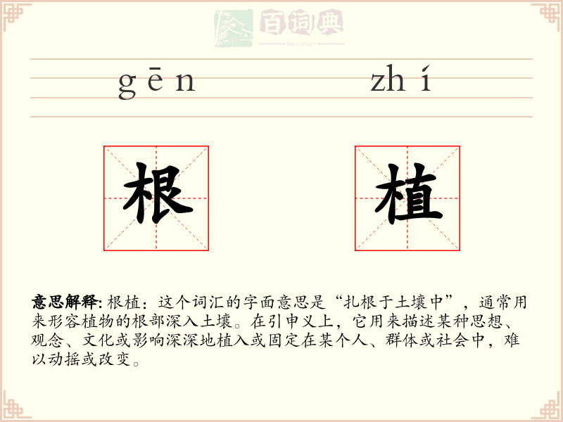 根植
