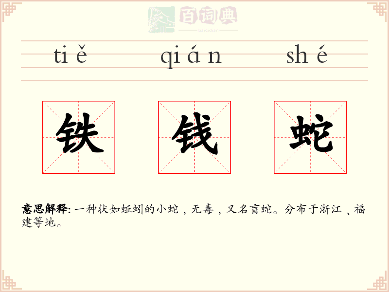 铁钱蛇