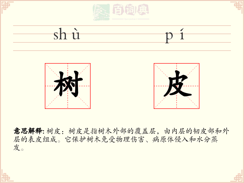 树皮