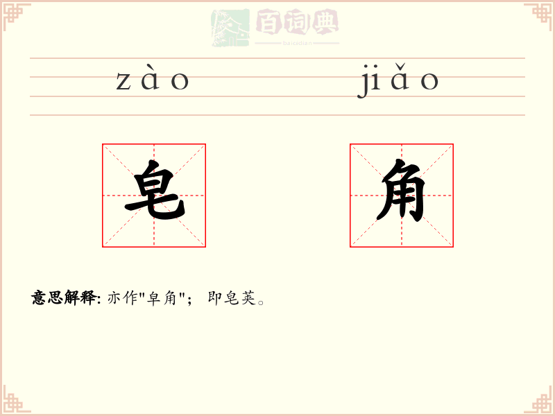 皂角