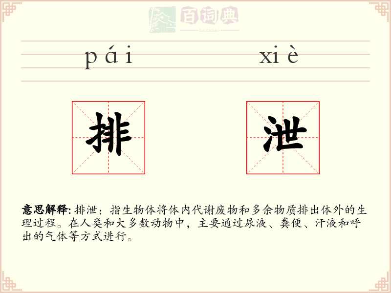 排泄