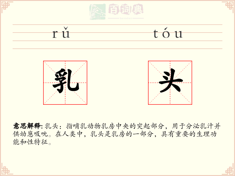 乳头