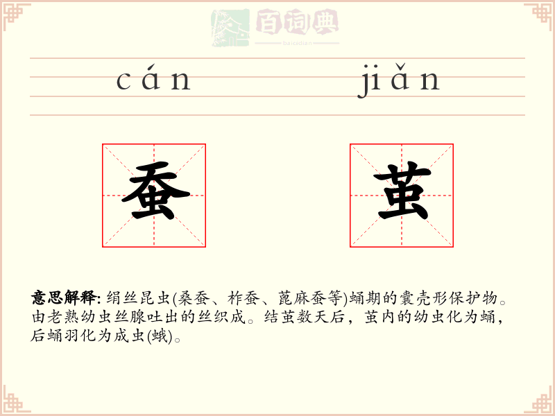蚕茧