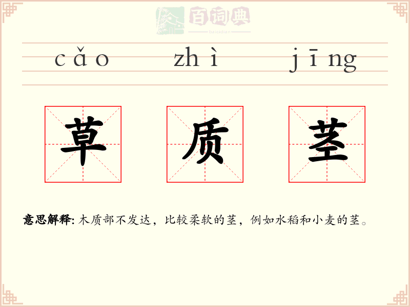 草质茎