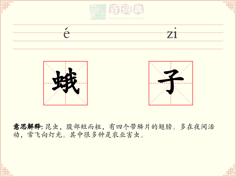 蛾子