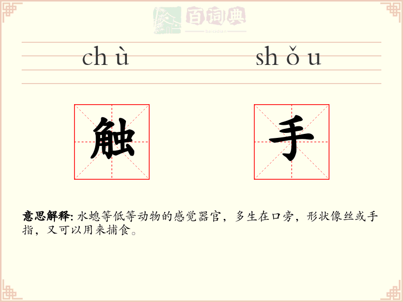 触手
