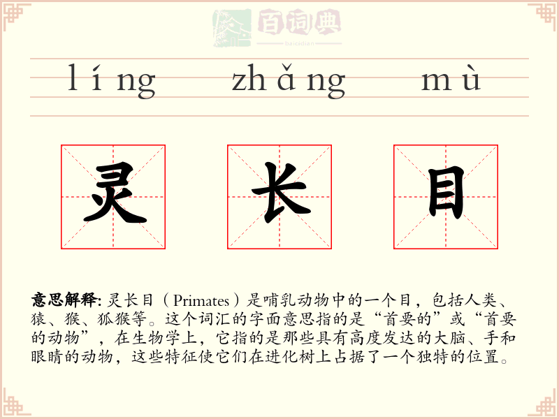 灵长目