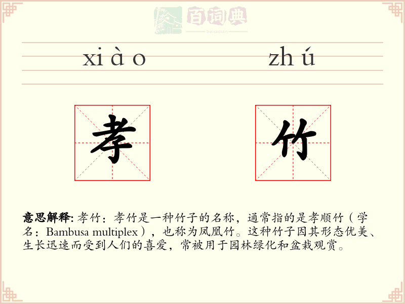 孝竹