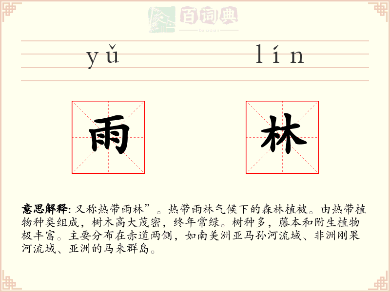 雨林