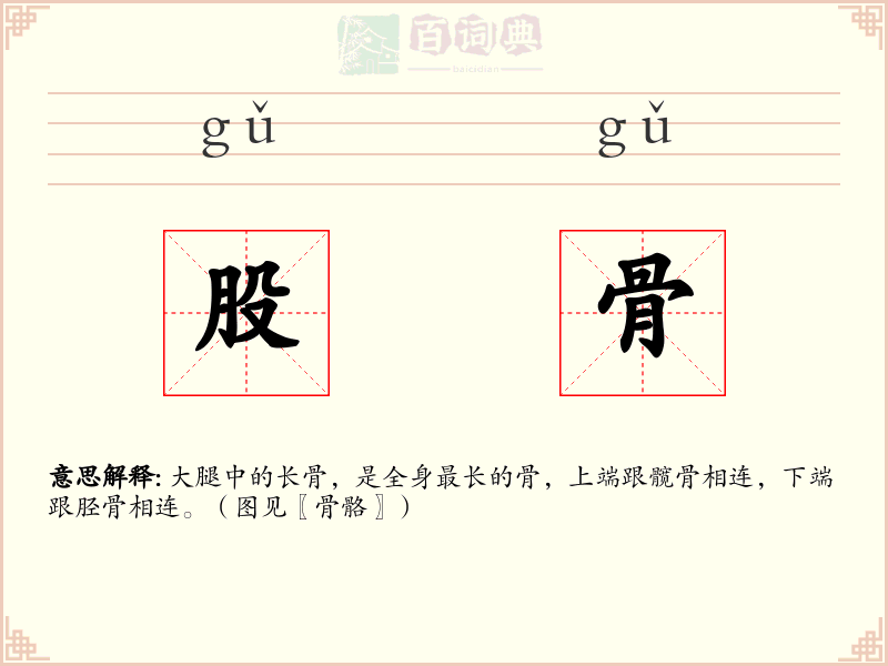 股骨