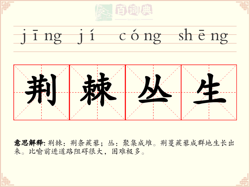荆棘丛生
